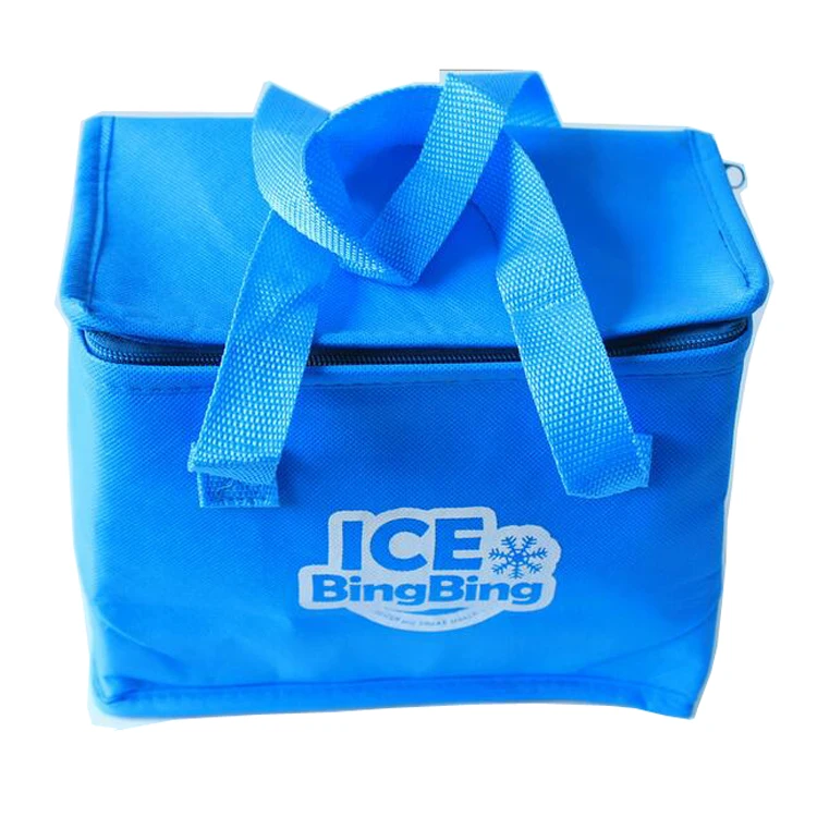 small cool bag