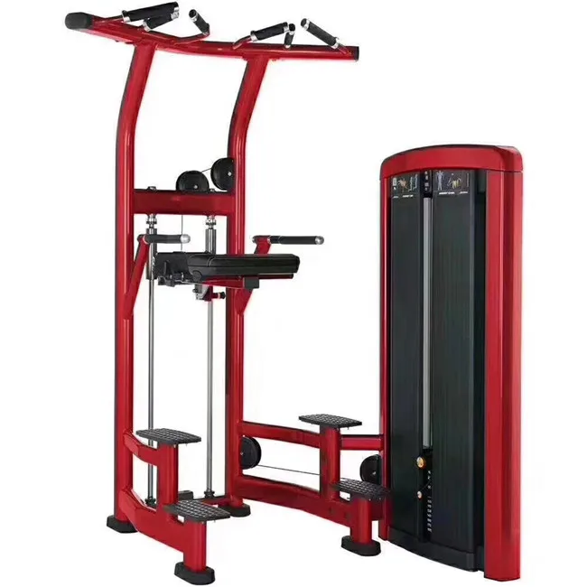 gym use fitness strength sports equipment profession