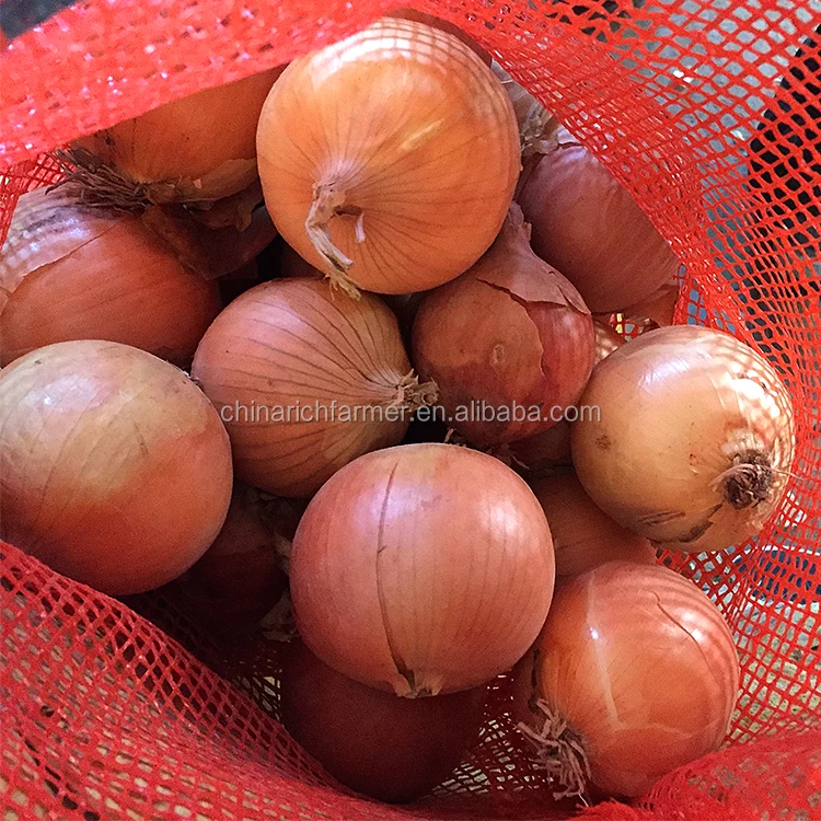 yellow onion (7)