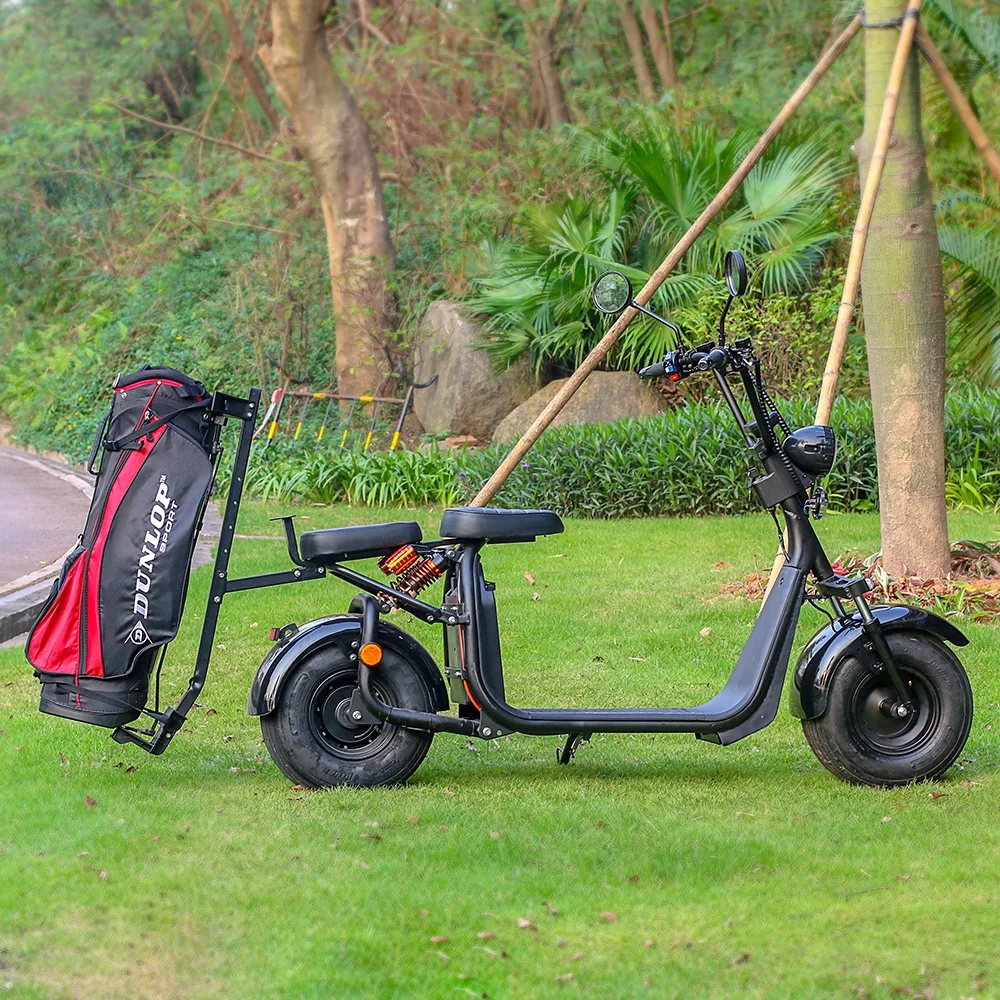 No Foldable 2 Wheel Electric Scootersとgolf Bag Carrier、1500ワットfat Tire
