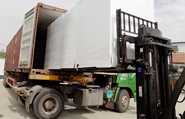 BIOGAS GENERATOR DELIVERY.jpg