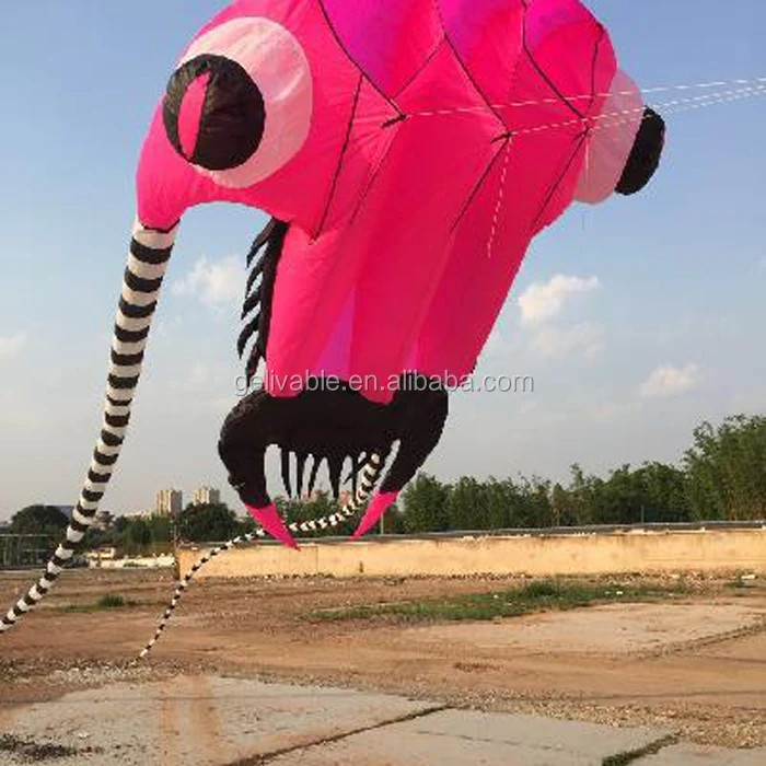 kite flying  (1).jpg