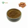best quality cinnamon extract,cinnamon powder,cinnamon stick extract powder,