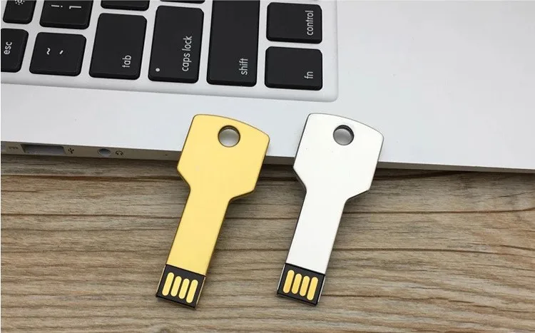 2018 new hot business gift key shape customized logo 1gb 4gb 8gb 16gb 64gb memory USB flash pendrive - ANKUX.COM