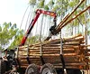 forest equipment tractor use hydraulic log trailer wood trailer timber loading trailer log wagon with crane grapple
