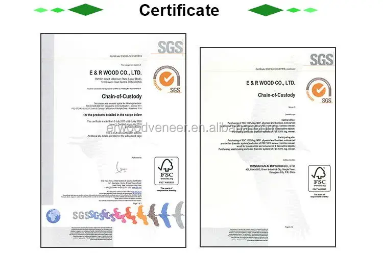 certificate.jpg