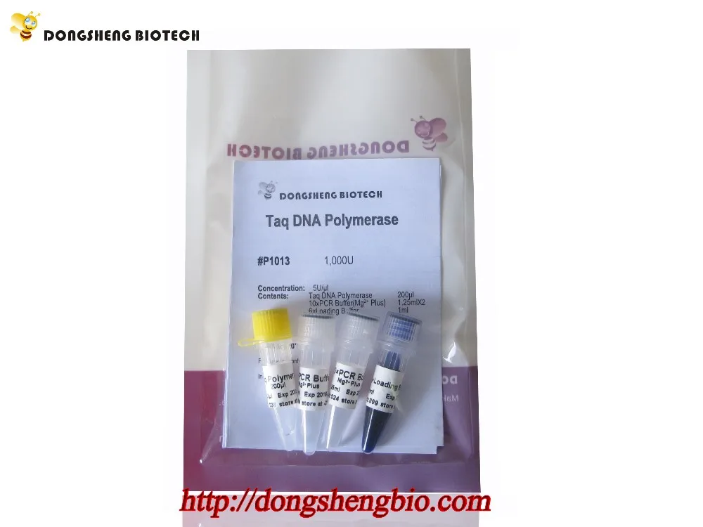 P1013 Taq DNA Ploymerase.jpg