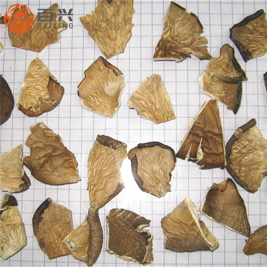 
Fresh dried oyster mushroom 1kg price 