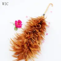 

hot-selling China Rooster Feather Duster