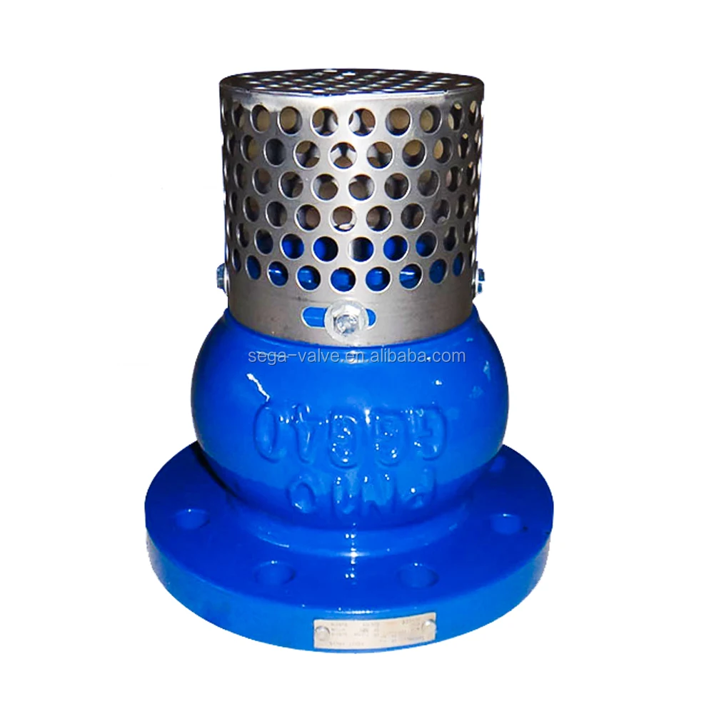 

Ductile Iron / Cast Iron Water Foot Valve for Pipe Line with Competitive Price, Black