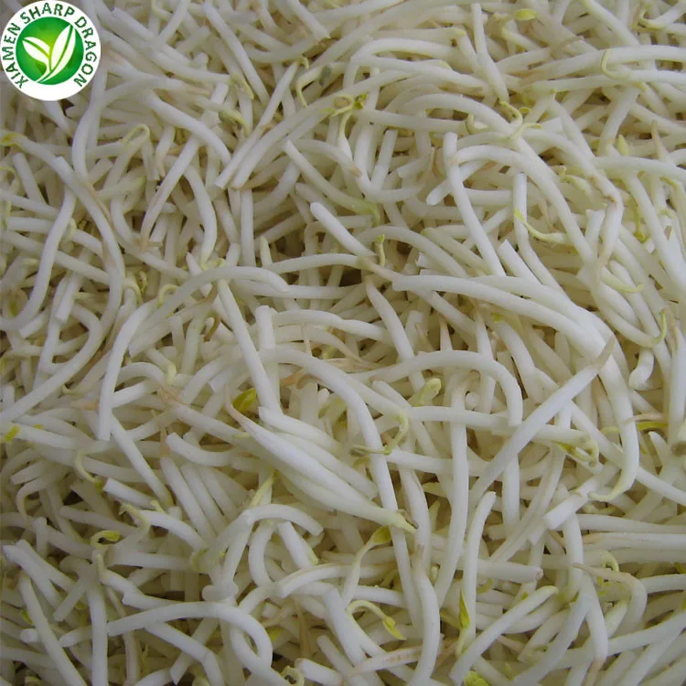 
IQF Bulk price frozen green bean sprouts 