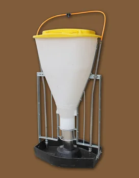 Dry Wet Pig Feeder Automatic Pig Feeder Automatic Feeder For Pigs