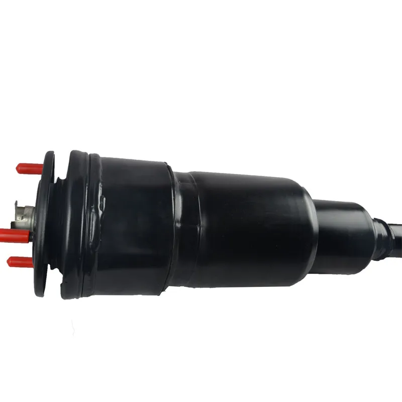 shock absorber for LS460.jpg