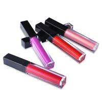 

Makeup cosmetics natural vegan lipstick matte lipgloss private label liquid lipstick