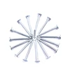 hot deep galvanized steel nails common nails manufacturer of China