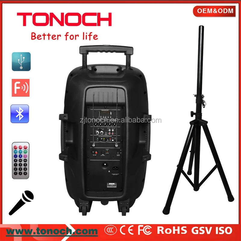 15 inch battery speaker.jpg