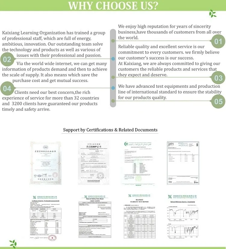 Wholesale Organic Raw Supplement Whey Protein in Bulk