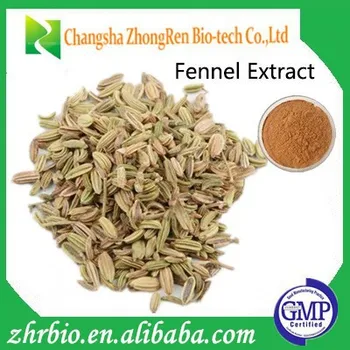 Fennel Seed Extract/foeniculum Vulgare Extract 20:1 - Buy Fennel
