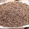 Natural Spices White Cumin Seeds in Bulk Price