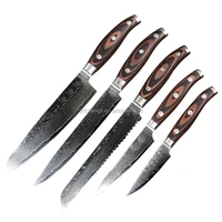 

Factory sale VG-10 Japanese damascus knife set