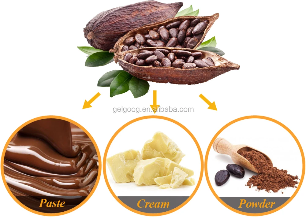 Fully Automatic Cacao Processing Line Cocoa Butter Machine For Sale
