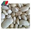 Red Kidney Beans Size 180-200, Export White Kidney Beans, Red And White Speckled Kidney Beans