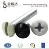 High quality flat philip head screws with blue Painting for household appliances decorative