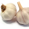 /product-detail/2017-new-crop-garlic-60421068732.html