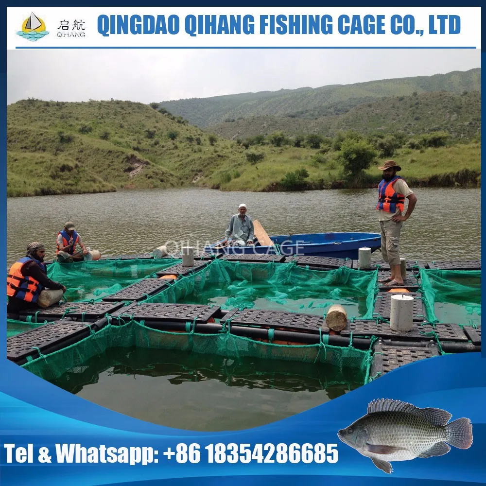 Tilapia Farm Fingerlings Farming Cage With Pe Net In Lake Harvest Buy