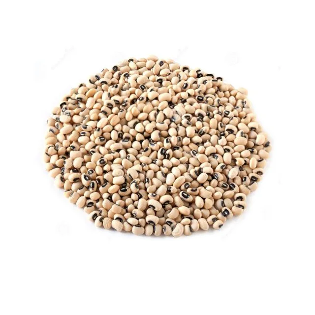 
Black eye bean MC & HPS 