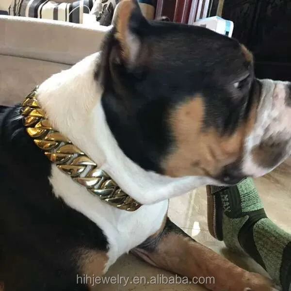 gold cuban link dog collar