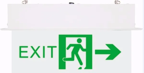 dp led rechargeable emergency light system