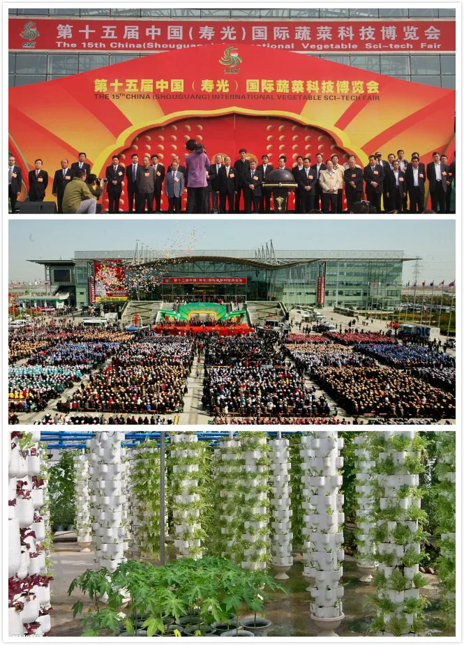 vegetable seed 100.jpg