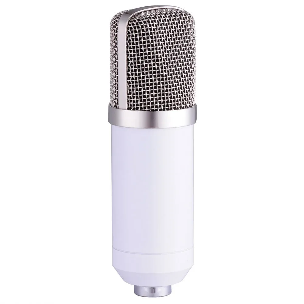 BM700 Recording Dynamic Condenser Microphone with Shock Mount With