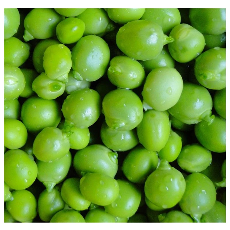 
IQF New crop bulk frozen green peas 