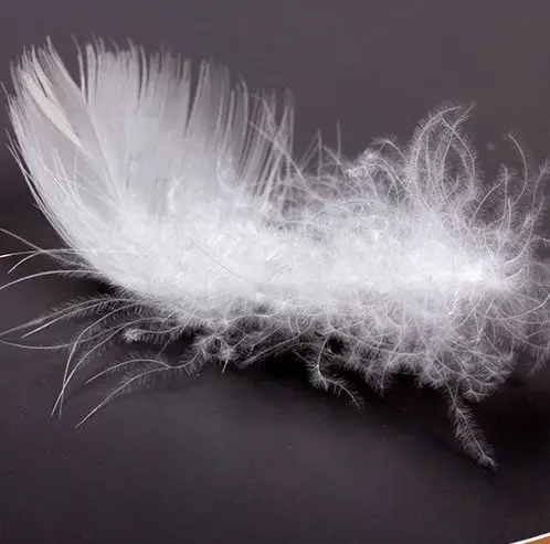 高品质 2-4厘米洗白鸭羽毛待售 - buy 水洗白鸭羽绒羽毛,鸭羽毛出售