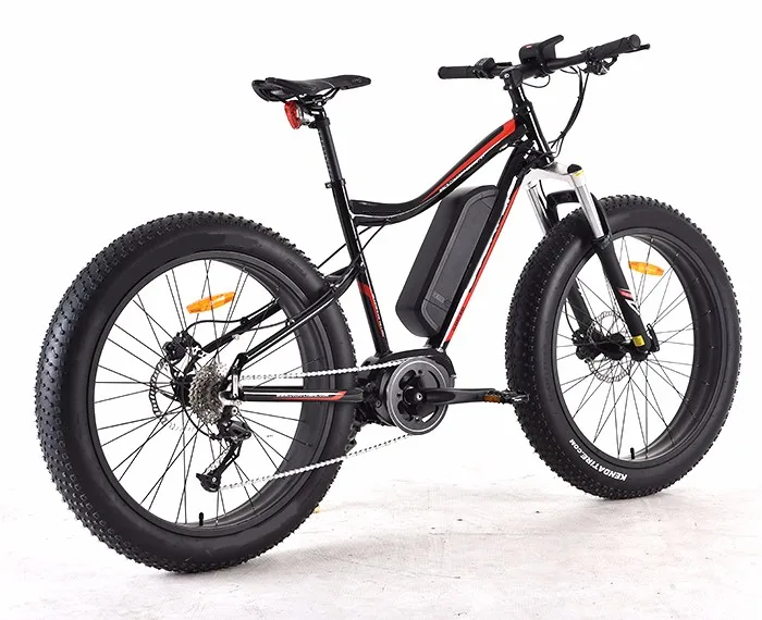warrior electric bike