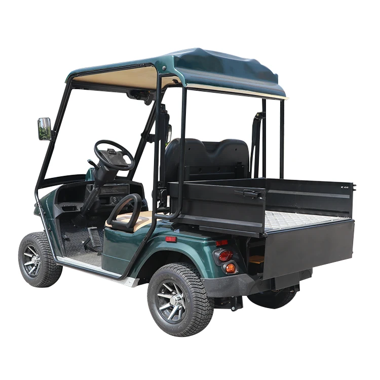 single seat golf buggy reviews