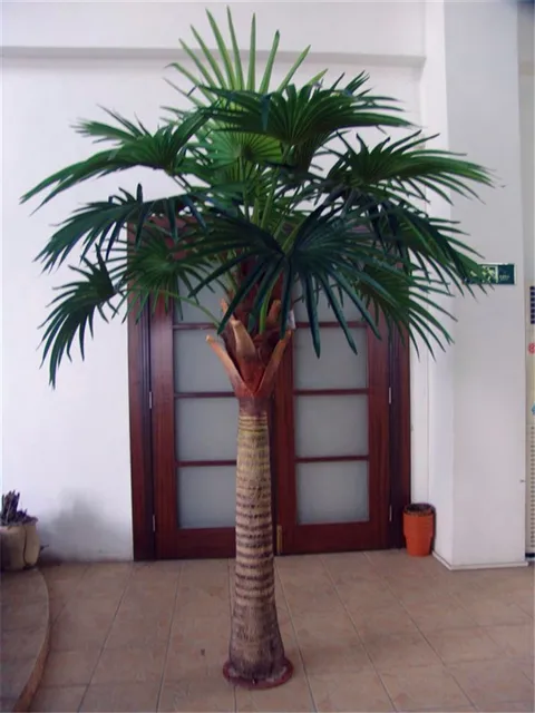 Small Decor Palm Trees Artificial Outdoor Palm Trees Decoration