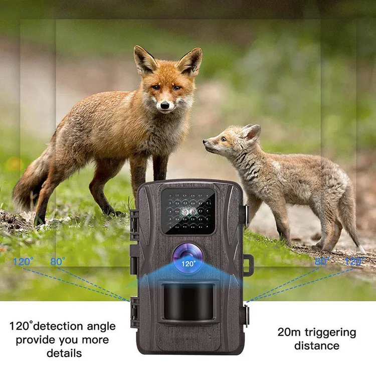 Cheap Camcorder Outdoor Infrared Night Sight Vision Wildlife Camera