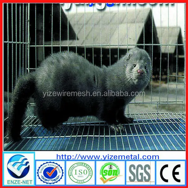 Hot Selling Mink Farm Cage,Mink Living Cage,Wire Mesh Mink Cage For