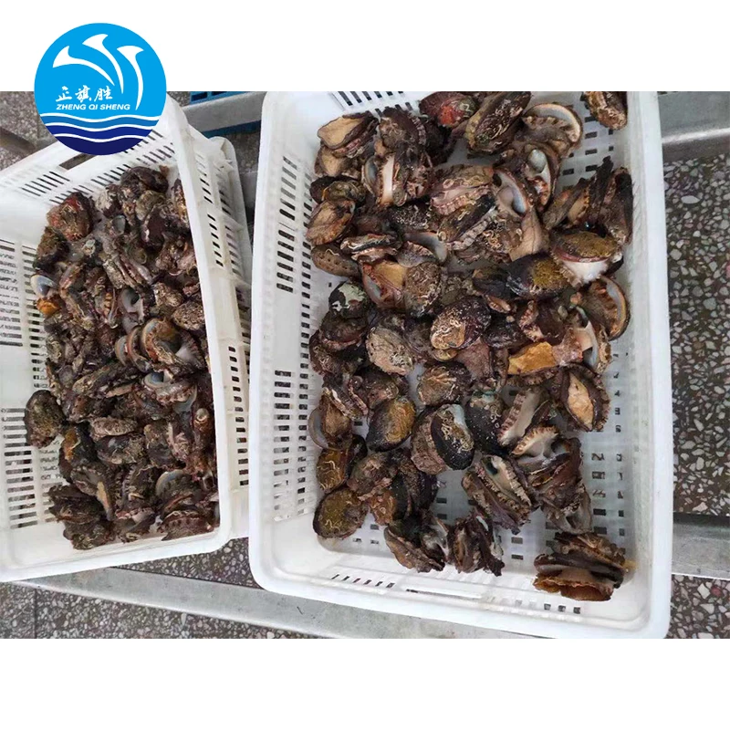 
frozen IQF abalone 