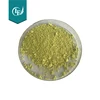 95% Quercetin Powder Sophora Japonica Extract