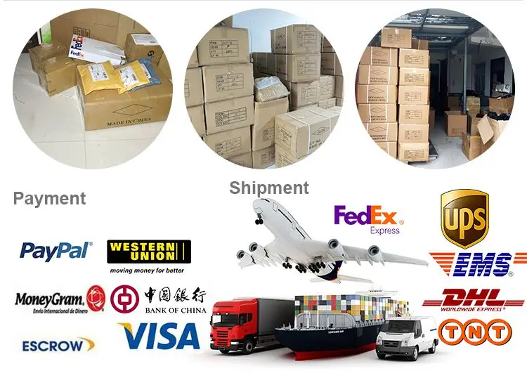 Baber training head.jpg