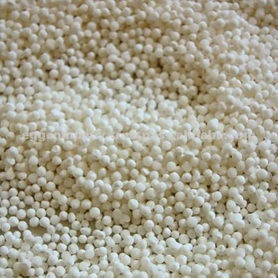 
Sago Seeds White Color for Sale 