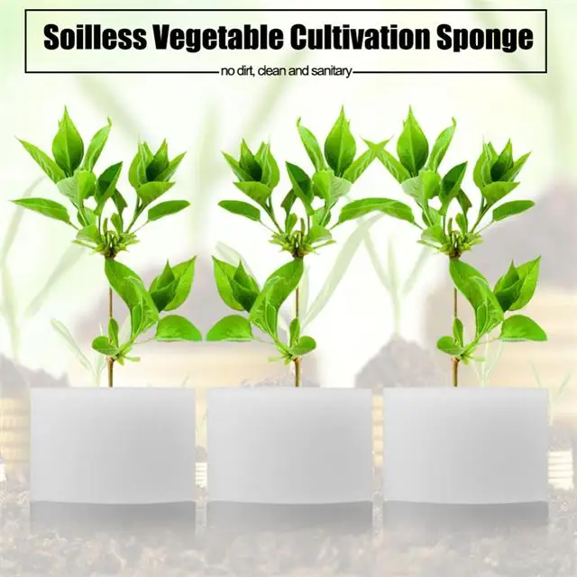 Nursery Sponges Hydroponics Planting Sponge For Tomatoes,Lettuce Buy