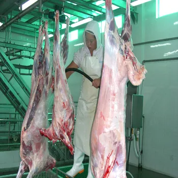 halal abattoir sheep equipment slaughter house machinery larger