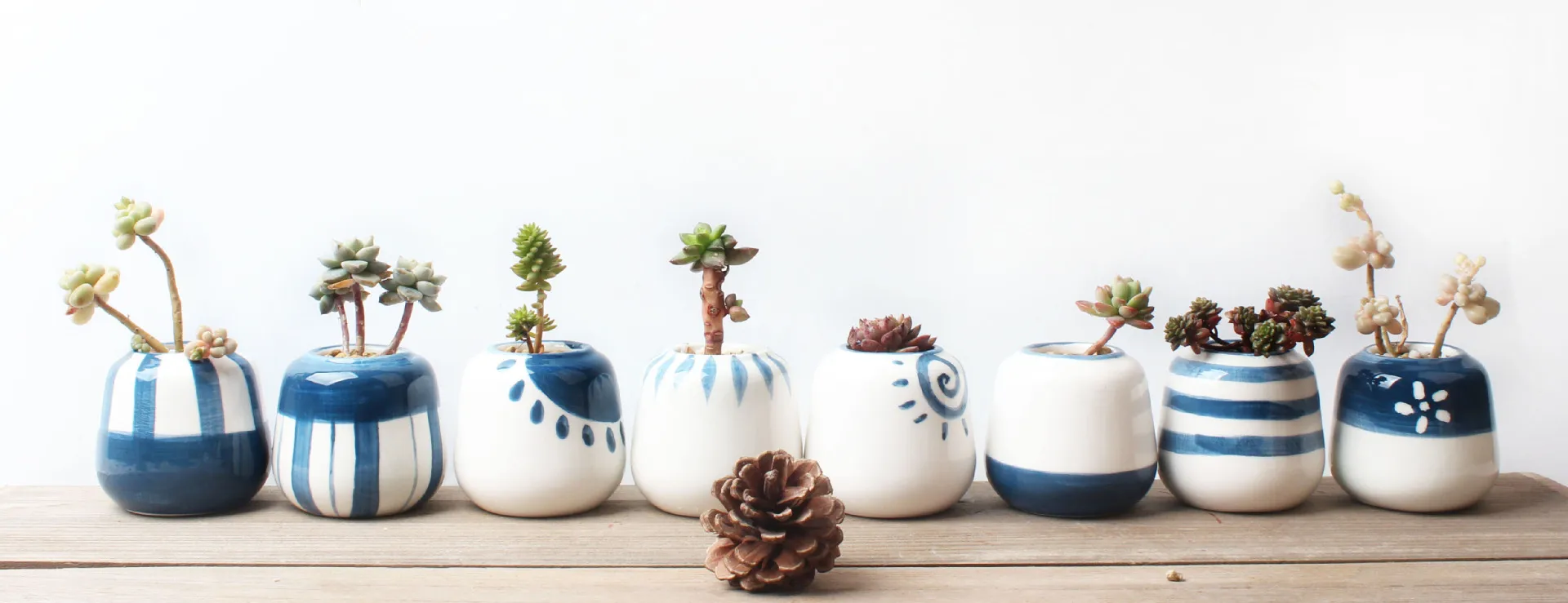 Hot Sale Simple Japanese Flower Pots Handpainted Ceramic Succulent