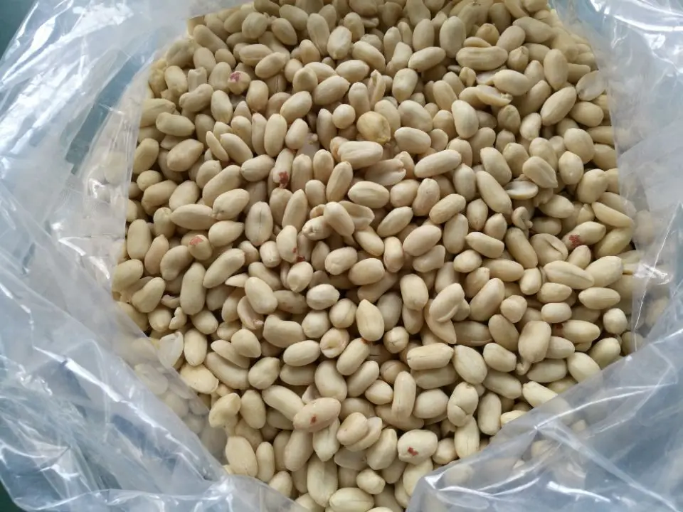 ca119080822o blanched.jpg