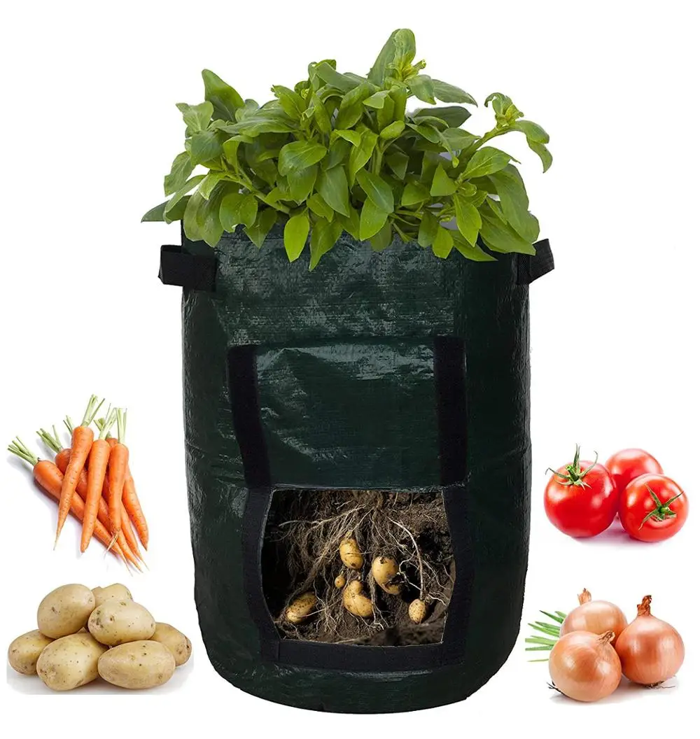 Plant Bag Grow Bag Aeration Fabric Pots 4 Pack 10 Gallon Garden Tomato Grow Bag